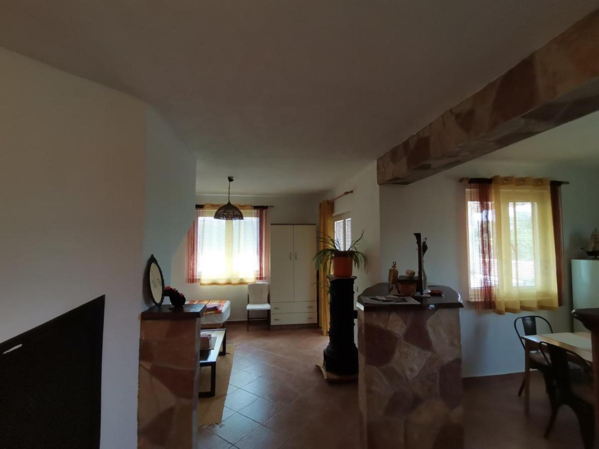 Apartments Vesna Nova Vas  ภายนอก รูปภาพ