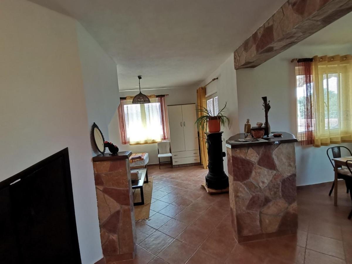 Apartments Vesna Nova Vas  ภายนอก รูปภาพ